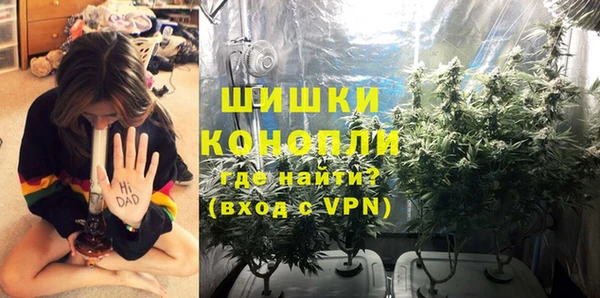 спайс Алексин