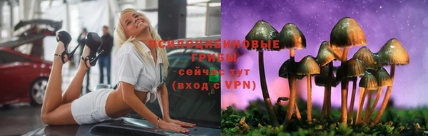 индика Алзамай