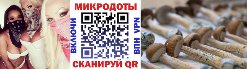 магазин    Льгов  Псилоцибиновые грибы мухоморы 